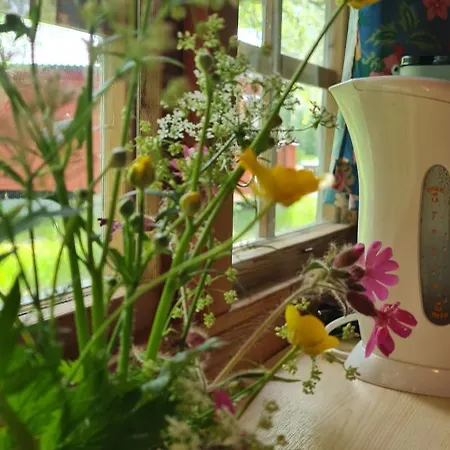 Romsdalseggen Vendégház *